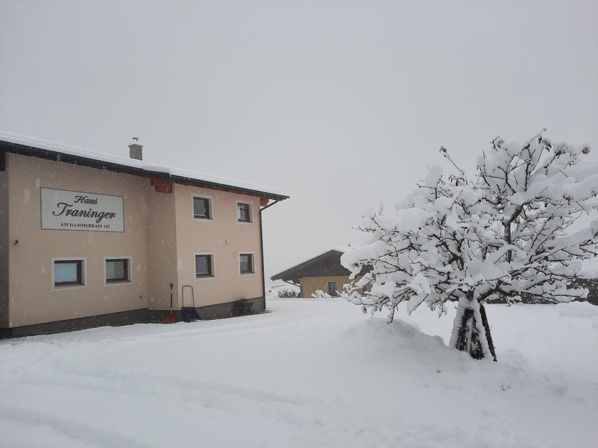 Haus Traninger Lejlighed Flachau Eksteriør billede